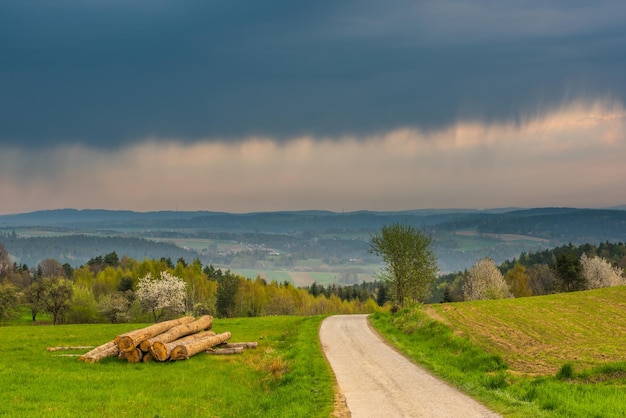 Strada di campagna rurale e dolci colline in Polonia