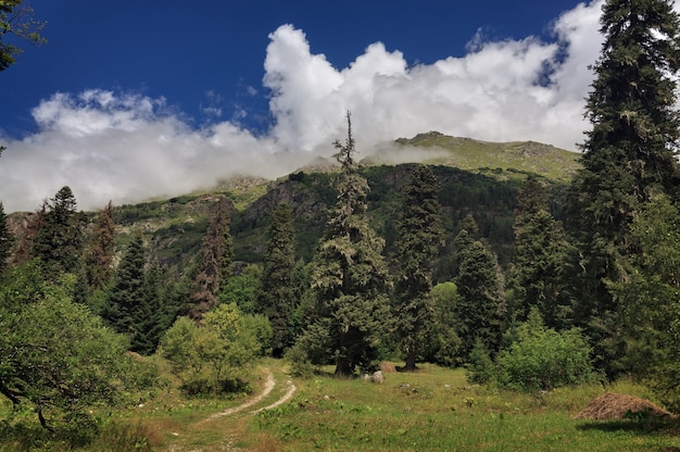 Strada di campagna senza asfalto in montagna