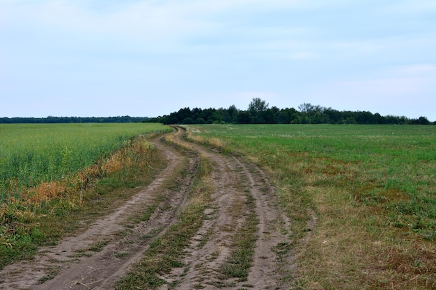 strada di campagna sporca con campo erboso e cielo nuvoloso spazio di copia