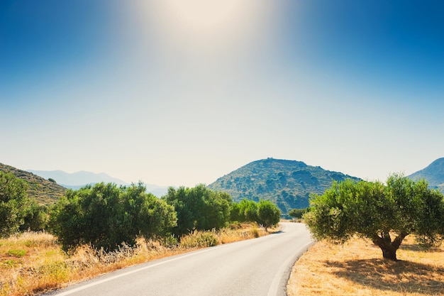 Strada di campagna tra oliveti a Creta, Grecia. Bellissimo paesaggio estivo.