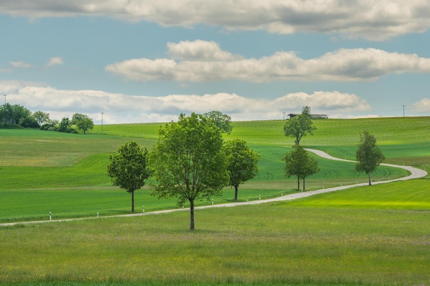 Strada di campagna vicino alla riserva naturale di Rotenbach Wiesen