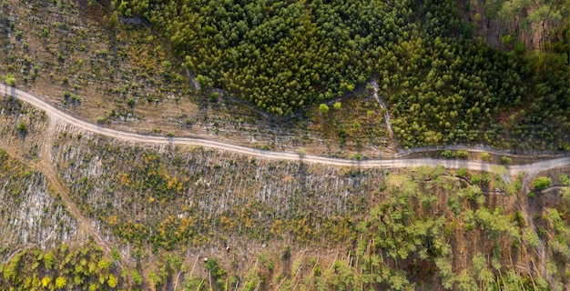 strada di campagna vista dall'alto vista aerea