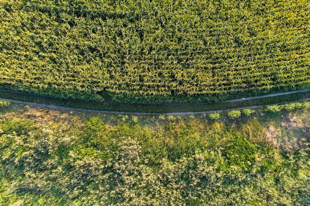 strada di campagna vista dall'alto vista aerea