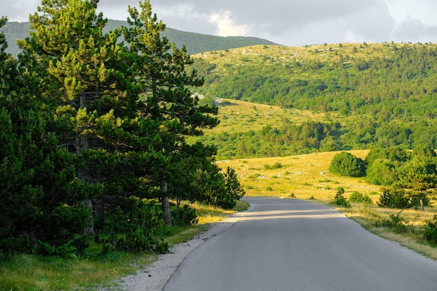 Strada di campagna vuota in montagna in una soleggiata giornata estiva