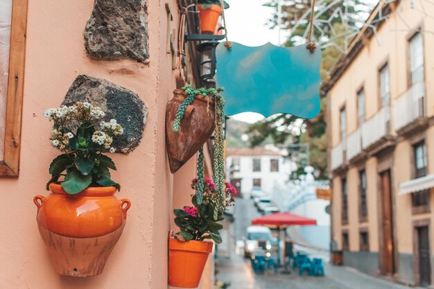 Strada di la orotava tenerife villaggio spagna