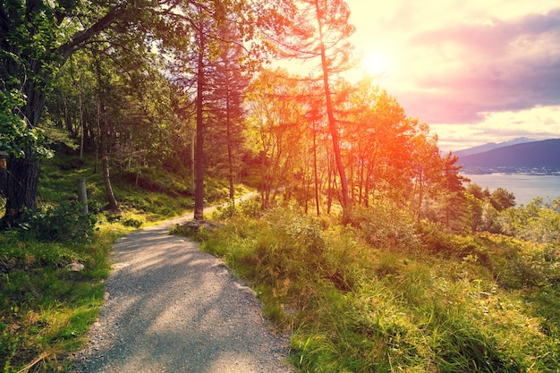 Strada di montagna al tramonto sul monte Aksla Bella natura della Norvegia