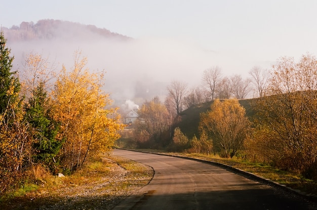 Strada di montagna autunnale e paesaggio di nebbia all'alba