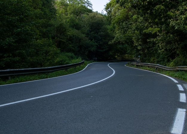 Strada di montagna con nuovo asfalto che attraversa il viaggio di vacanza rurale nella foresta