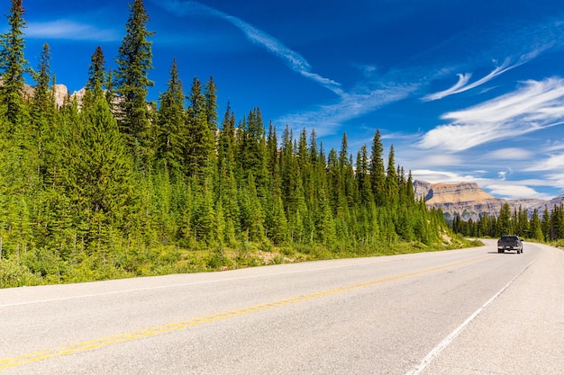 Strada di montagna in estate al parco nazionale di banff Canada