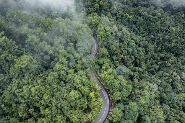 Strada di montagna in una giornata piovosa e nebbiosa, Strada per Pai