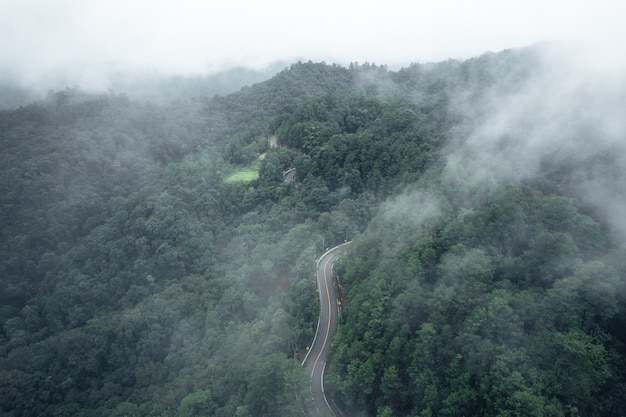 Strada di montagna in una giornata piovosa e nebbiosa, Strada per Pai