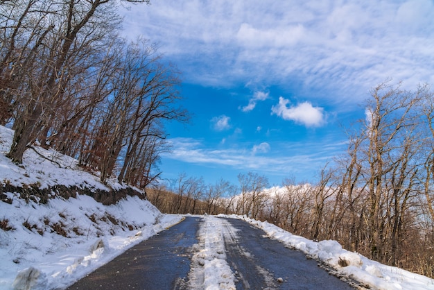 Strada di montagna innevata tra la foresta