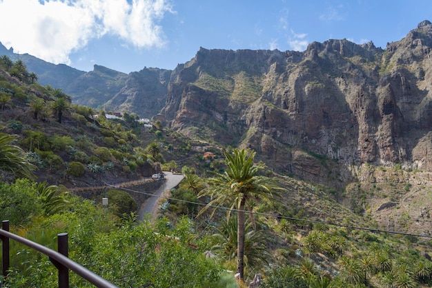 Strada di montagna sull'isola di Tenerife alte montagne e fitte foreste