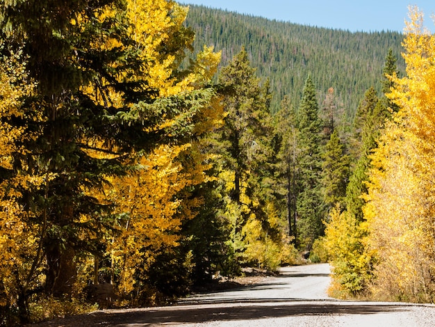 Strada di montagna sulla soleggiata giornata autunnale su Boreas Pass, Colorado.