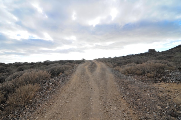 Strada di sabbia e rocce nel deserto su un cielo nuvoloso