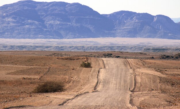 Strada di terra attraverso il deserto