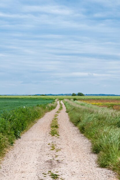 Strada di terra in mezzo al campo contro il cielo