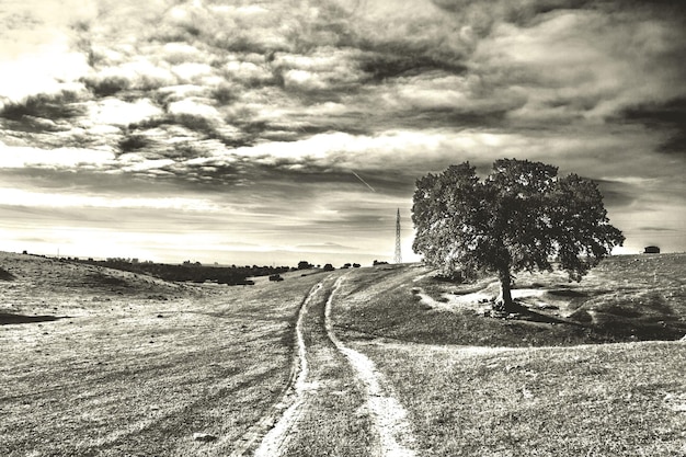 Strada di terra in mezzo al campo contro un cielo nuvoloso durante un giorno di sole