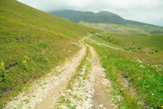 Strada di terra in natura Armenia Estate