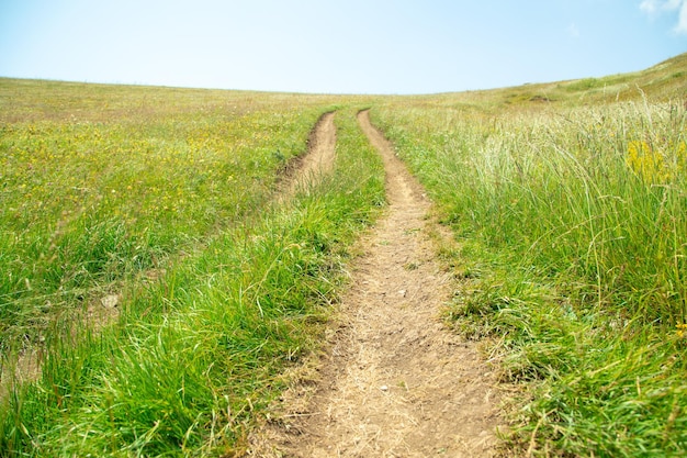 Strada di terra in natura Armenia Estate