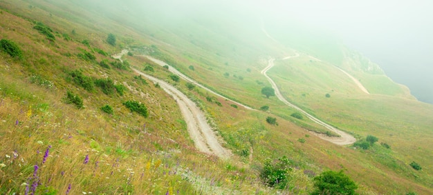 Strada di terra in natura Armenia Estate