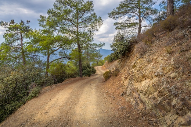 Strada di terra serpentevole che attraversa la catena montuosa boscosa di Troodos sull'isola di Cipro