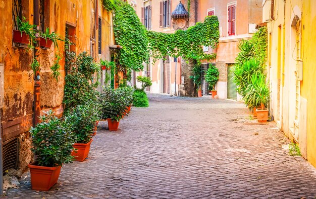 Strada di Trastevere Roma Italia