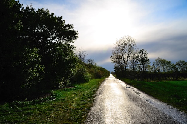 Strada dopo la pioggia