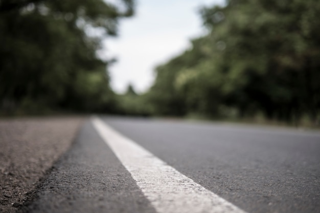 Strada estiva tra gli alberi. linea di divisione