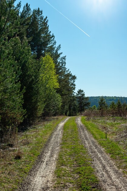 Strada estiva vicino alla foresta e sentiero bianco dall'aereo che vola nel cielo blu