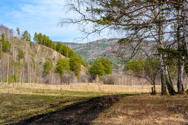 Strada forestale degli Urali meridionali con una vegetazione paesaggistica unica e diversità della natura