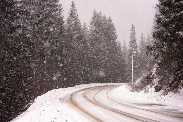 Strada forestale di campagna durante la tempesta di neve