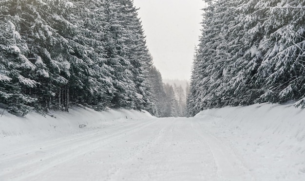 Strada forestale invernale ricoperta di ghiaccio e neve. Condizioni di guida pericolose