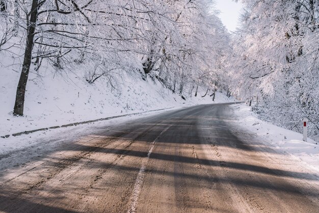 Strada ghiacciata nella foresta innevata e soleggiata