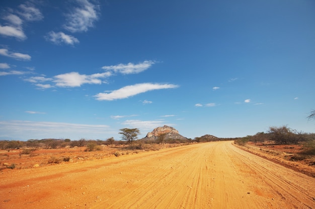 Strada gialla nella savana africana, Kenya