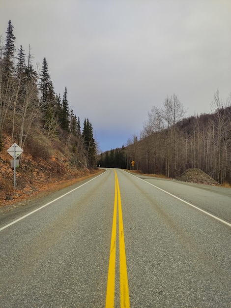 Strada in Alaska in autunno. Stati Uniti d'America