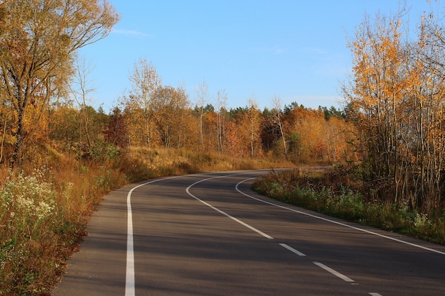 Strada in autunno