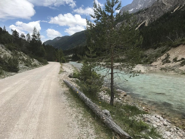 Strada in mezzo agli alberi contro il cielo