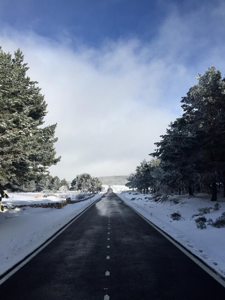 Foto strada in mezzo agli alberi coperti di neve contro il cielo
