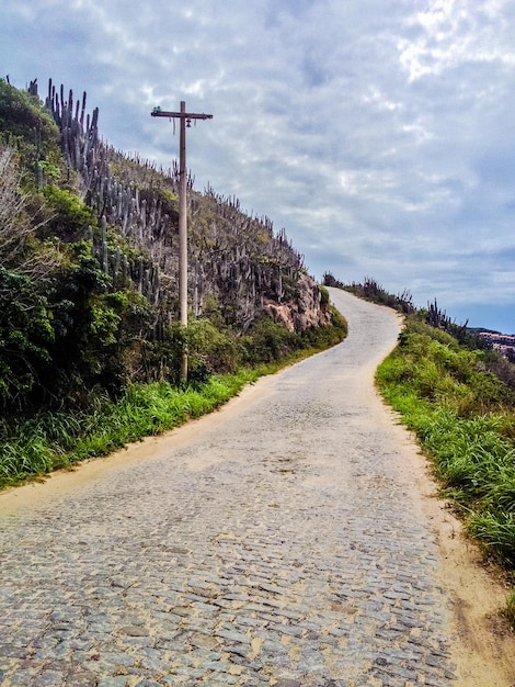 Strada in mezzo all'erba contro il cielo