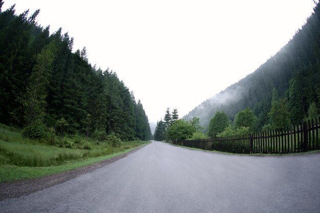 Strada in montagna d'estate