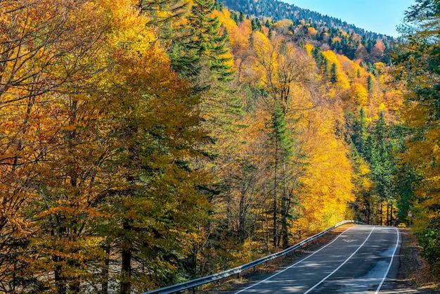 Strada in montagna in autunno