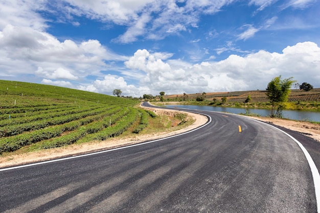 Strada in un bellissimo paesaggio di un campo e nuvole su un cielo blu