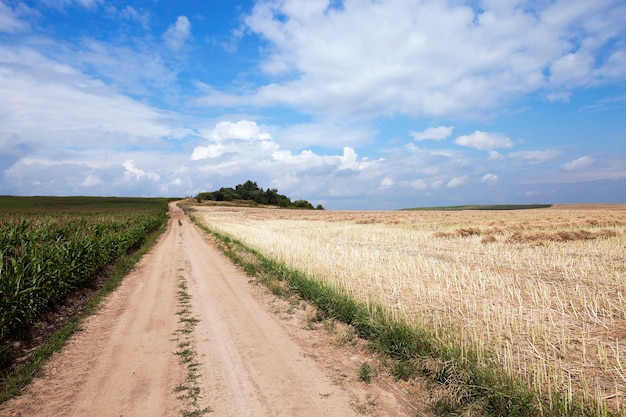 Strada in un campo - strada di campagna asfaltata, che passa attraverso un campo agricolo