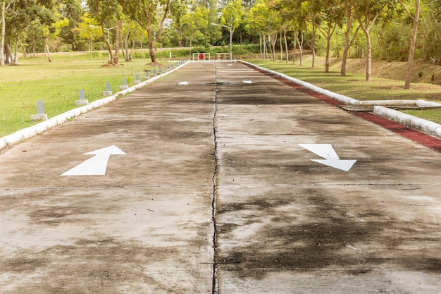 strada in un parco.