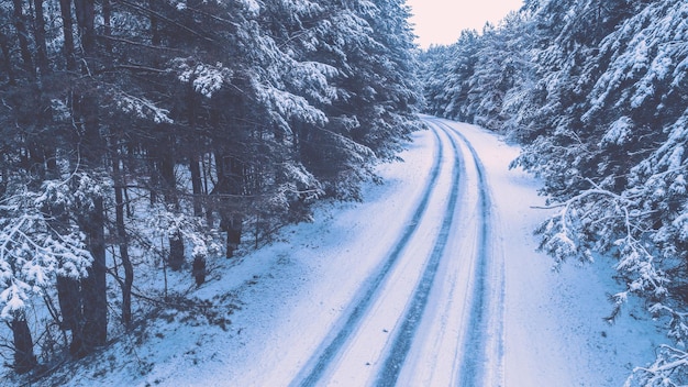 Strada in una pineta innevata in inverno Vista dall'alto