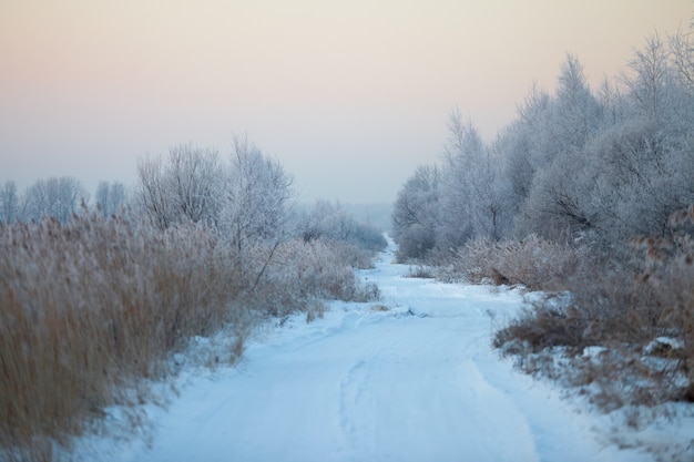 Strada invernale al mattino all'alba