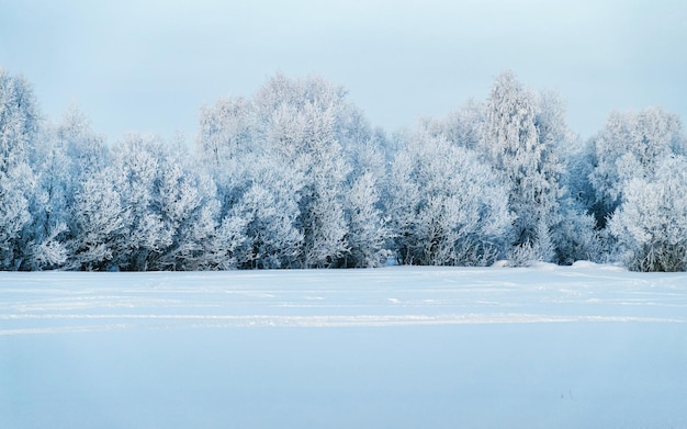 Strada invernale con neve in Finlandia. Paesaggio della Lapponia in Europa. Foresta lungo l'autostrada durante il viaggio. Viaggio innevato. Vialetto freddo. Guida in autostrada finlandese nel villaggio di Rovaniemi a nord. Vista con albero