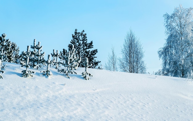 Strada invernale con neve in Finlandia. Paesaggio della Lapponia in Europa. Foresta lungo l'autostrada durante il viaggio. Viaggio innevato. Vialetto freddo. Guida in autostrada finlandese nel villaggio di Rovaniemi a nord. Vista con albero