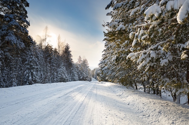 Strada invernale con tramonto fresco e neve